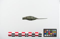 Foto von Bronzekahnfibel (NHMW-PRAE-024175)
